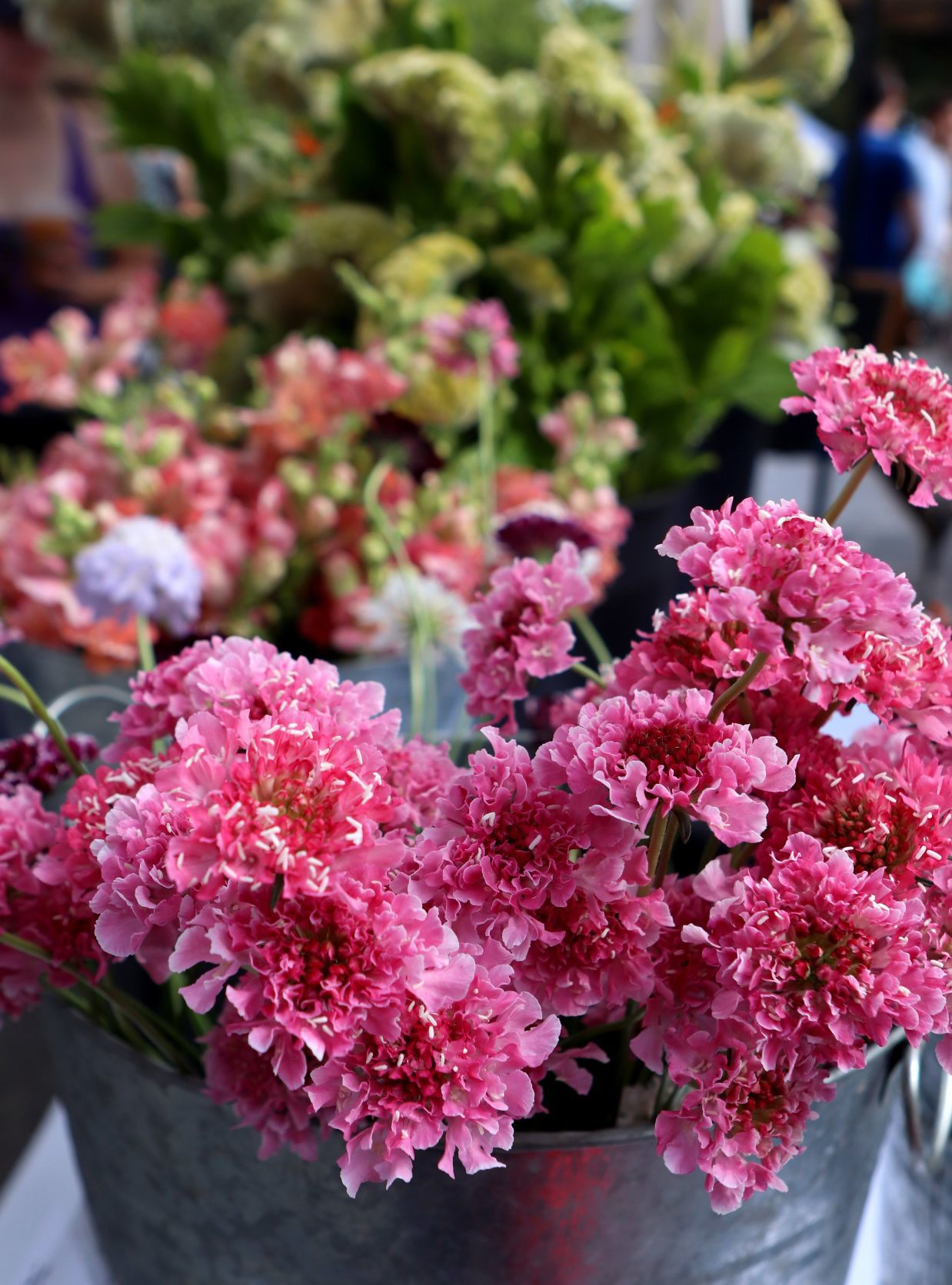 Tower Grove Farmers Market